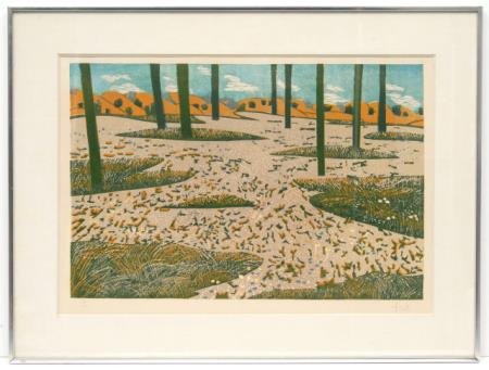 Deserto Florido II